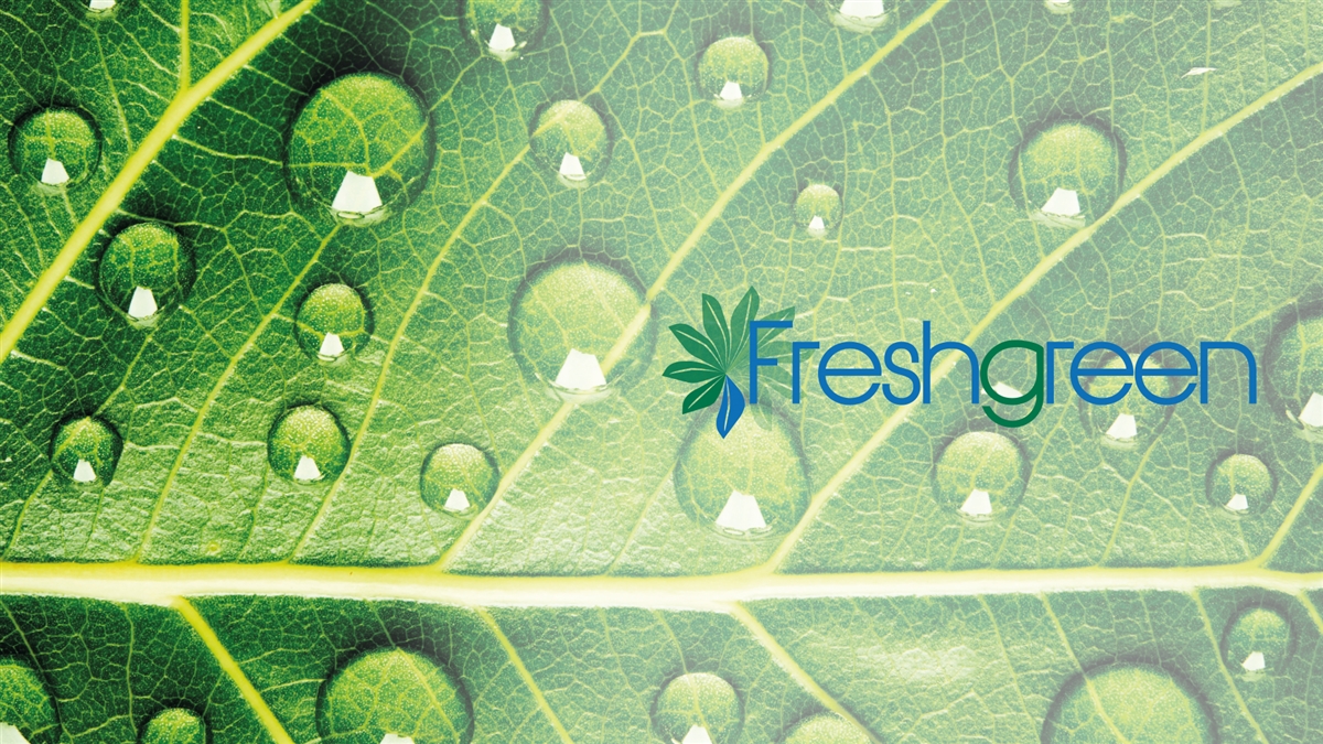 FRESHGREEN Olmo Giuseppe S.p.A. FRESHGREEN Olmo Giuseppe S.p.A.
