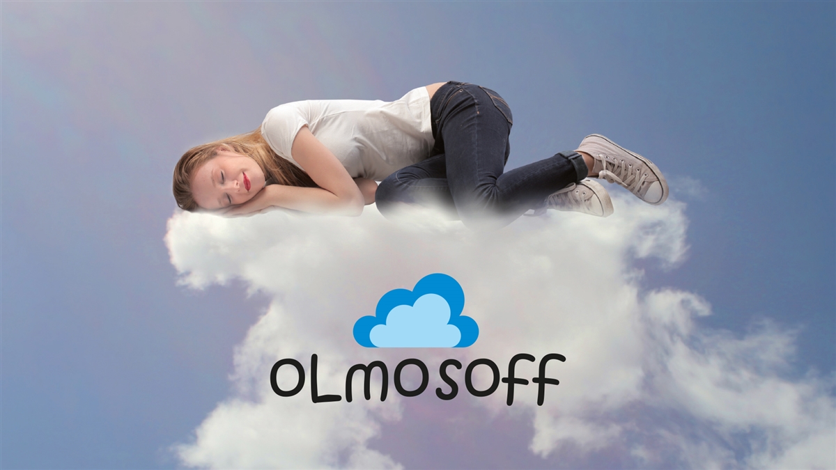 OLMOSOFF Olmo Giuseppe S.p.A. OLMOSOFF Olmo Giuseppe S.p.A.